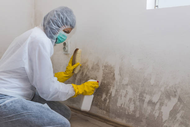 Best Mold Testing  in West Park, CA