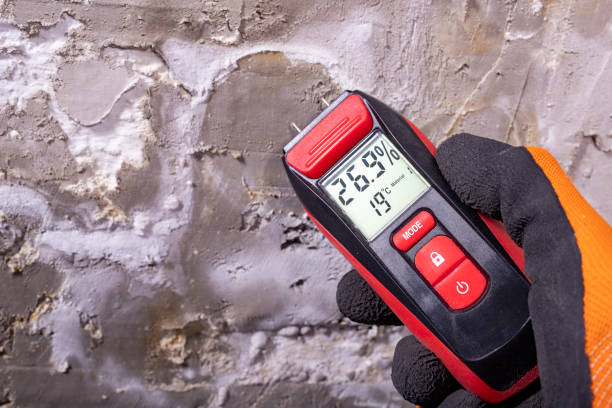 Best Professional Mold Removal  in West Park, CA